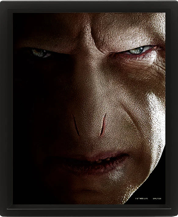 Harry Potter - Harry vs Voldemort - 3D image