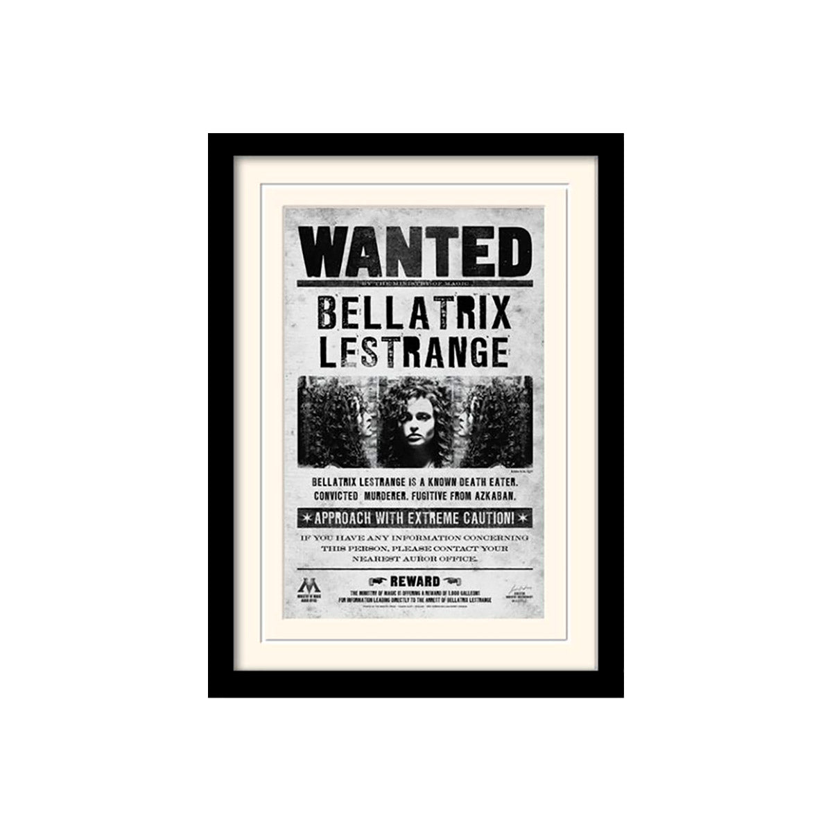 Harry Potter - Bellatrix Wanted - Framed Art Print
