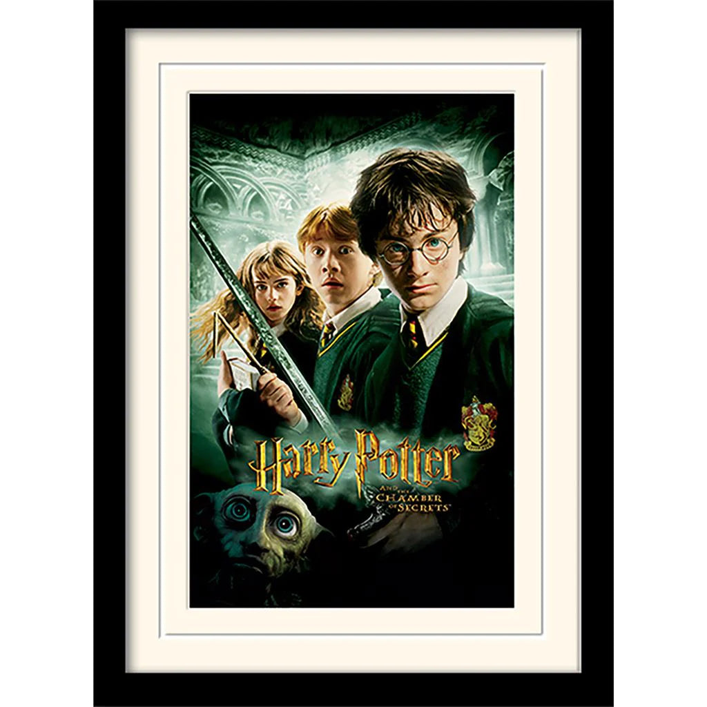 Harry Potter - Chamber Of Secrets - Framed Art Print