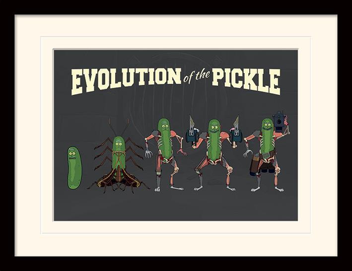 Rick and Morty - Evolution of the Pickle - Gerahmter Kunstdruck