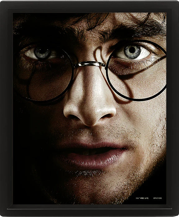 Harry Potter - Harry vs Voldemort - 3D-Bild
