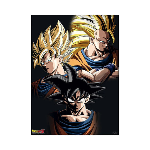 Dragon Ball - Goku & Shenron - 2 Poster-Set | yvolve Shop