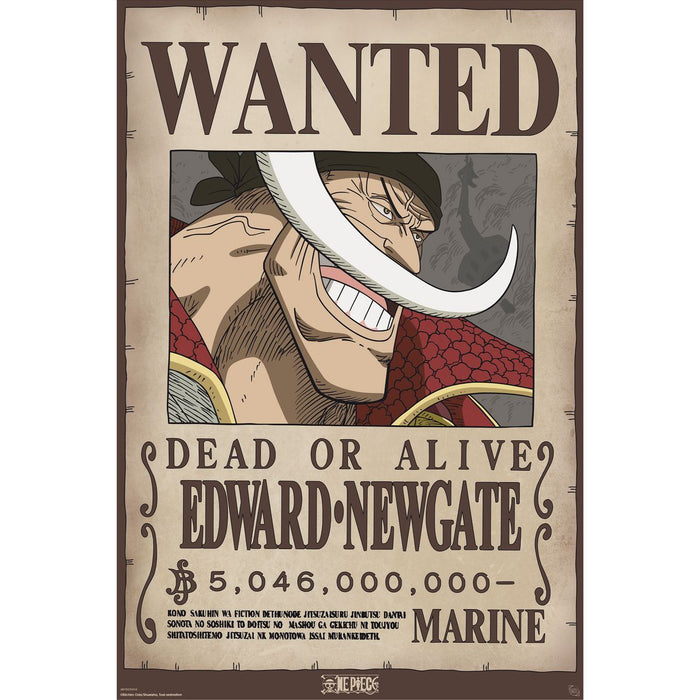 One Piece - Wanted Whitebeard - Poster