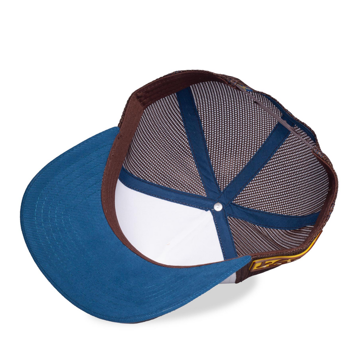 Pokémon - Eevee - Cap