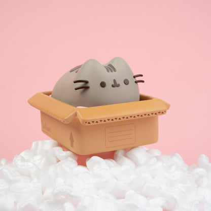 Pusheen - Box - Money Box