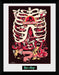 Rick and Morty - Anatomy Park - Gerahmter Kunstdruck | yvolve Shop