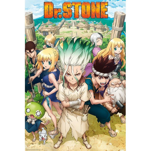 Dr. Stone - Group - Poster | yvolve Shop