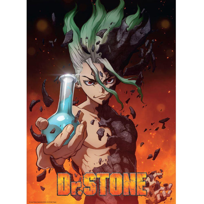 Dr. Stone - Group & Artwork - 2 Poster-Set | yvolve Shop
