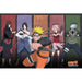Naruto - Naruto & Allies - Poster | yvolve Shop