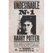 Harry Potter - Undesirable No 1 - Poster | yvolve Shop