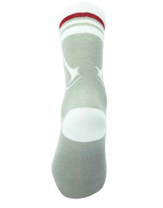 Assassin's Creed  - Crest Logo - Socken | yvolve Shop