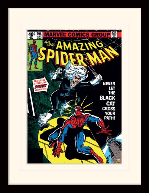 Spider-Man - Black Cat small - Gerahmter Kunstdruck | yvolve Shop