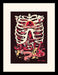 Rick and Morty - Anatomy - Gerahmter Kunstdruck | yvolve Shop
