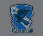 Harry Potter - Ravenclaw - Cap | yvolve Shop